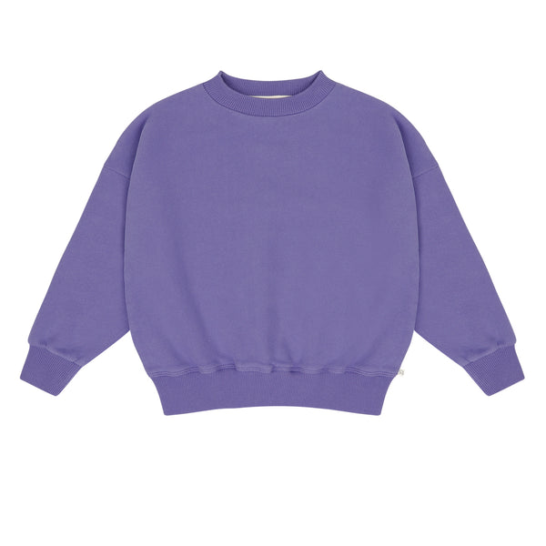 Art Bird Sweater van Jenest - Donkerpaarse sweater met kleurrijke vogelprint op de rug voor meisjes | verkrijgbaar bij Little Fashion Addict