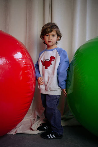 Paarse Snappy jeansbroek van Daily Brat uit de City Notes-collectie. Rechte unisex pasvorm in stevige denim, geschikt voor zowel jongens als meisjes. | Ontdek Daily Brat bij Little Fashion Addict