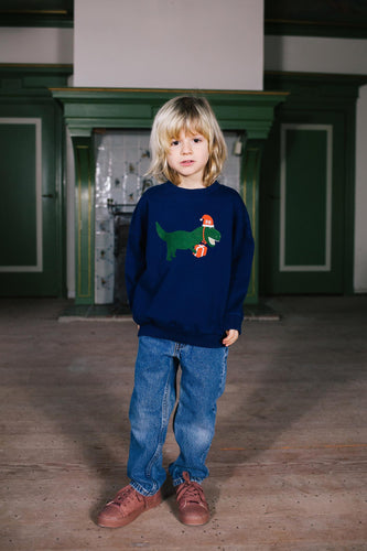 Feestelijke Sweater voor jongens in donkerblauw met dino print van Daily Brat | Verkrijgbaar bij Little Fashion Addict