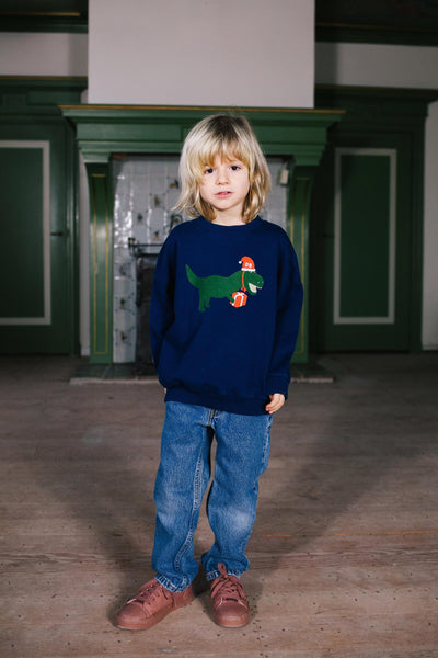Feestelijke Sweater voor jongens in donkerblauw met dino print van Daily Brat | Verkrijgbaar bij Little Fashion Addict