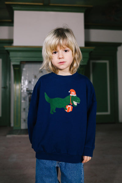 Feestelijke Sweater voor jongens in donkerblauw met dino print van Daily Brat | Verkrijgbaar bij Little Fashion Addict