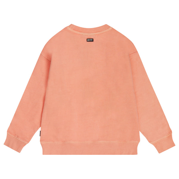 Zalmkleurige jongenssweater met surfprint van Tumble ’n Dry | Alice Springs sweater Tumble 'n Dry - verkrijgbaar bij Little Fashion Addict