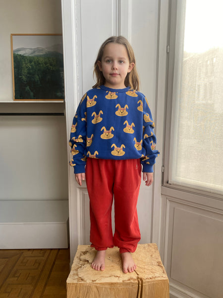 Sweater Tony Allover Rabbits blauw met konijnenprint voor jongens en meisjes van We Are Kids | Ontdek We Are Kids bij Little Fashion Addict